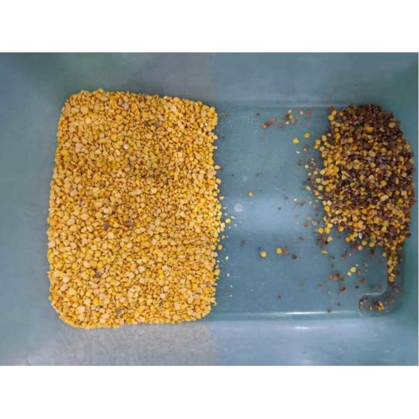 Кофейные зерна красят сортировщицу, электронные каналы сортировщицы 384 цвета 6 парашютов