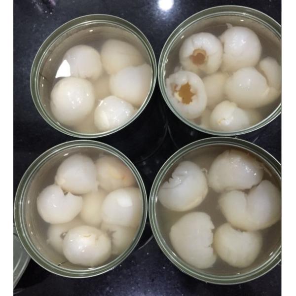 Le blanc entier a mis en boîte le litchi en sirop, le poids net 567g de saison