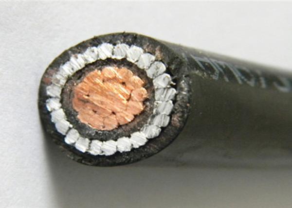 0.6/1KV Aerial Split Concentric Cable / Service Cable 1x16/16mm2