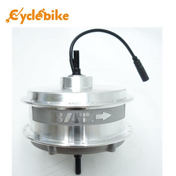 36V 8.8ah Hub Motor Style Electric Bike Lithium Battery 800 Cycles Life