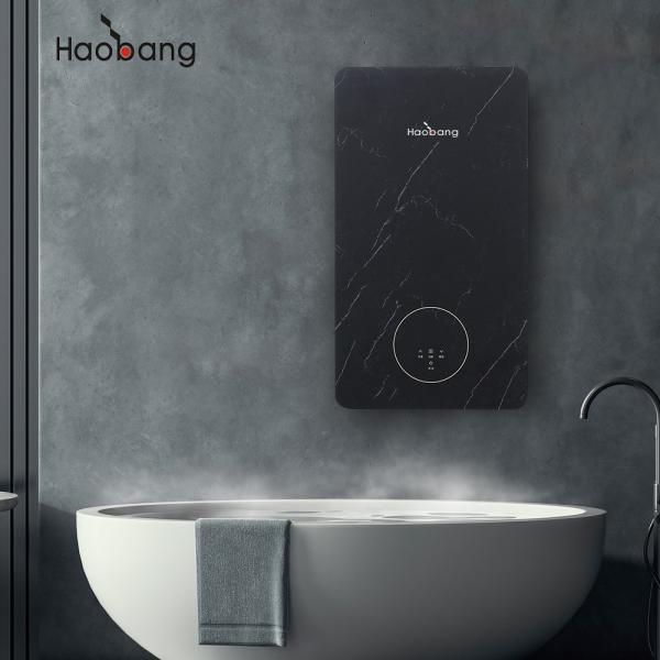 Free Spare Parts Provided Forced Exhaust Gas Water Heater for NG 2000Pa Gas Pressure and AC220V AC110V