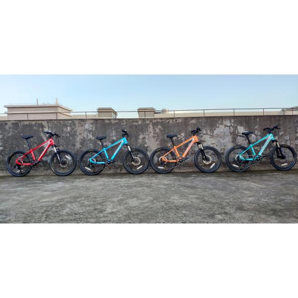 20 дюймовый детский велосипед с вилкой и карбоновой рамой весит всего 11 кг.