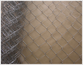 stainless steel  chain wire fence