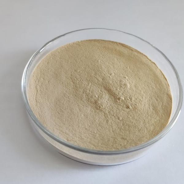 Food Grade Acid Protease, In Alcohol Fermentation Can Promote Yeast Growth, And Increase Alcohol Yield