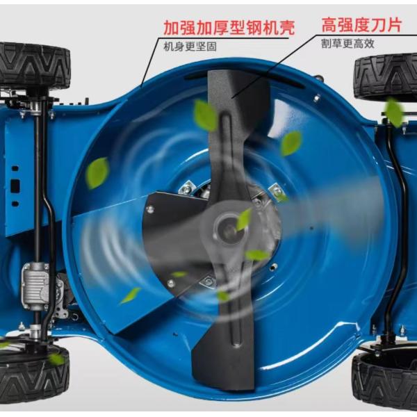 Side Mounted Gasoline Engine Four Stroke Lawn Mower Brush Cutter Weed Remover