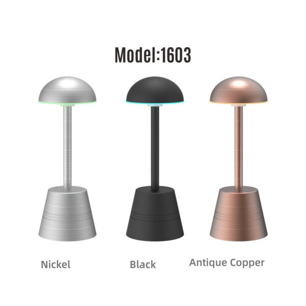 Wifi Portable Table Lamp App Control RGBW Night Light, Rechargeable for Bedrooms, Living Rooms and Office
