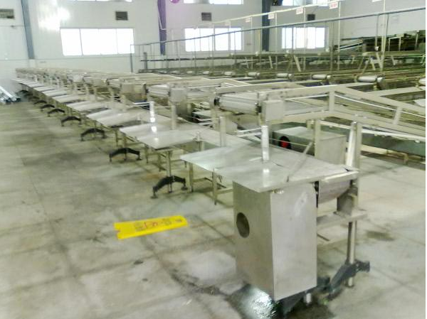 Orange Processing Fruit Canning Equipment High Precision Custom Design