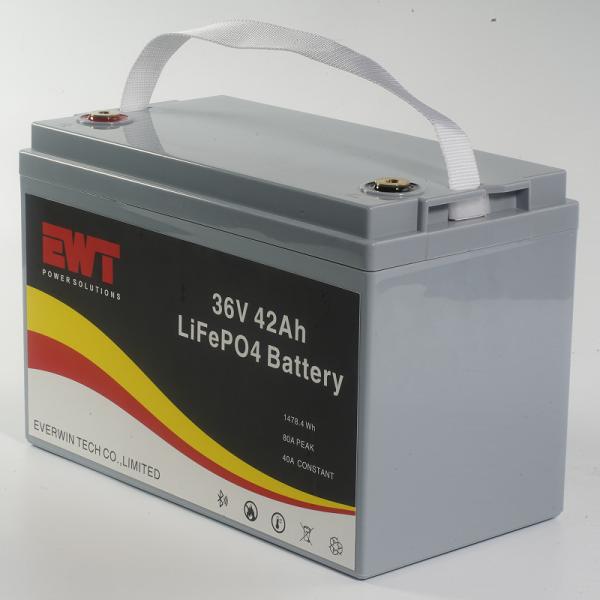 Plastic Casing Lifepo4 Battery Pack 36V 42AH for Outdoor BBQ Energy Storage Power Supply