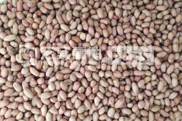 5 Chutes Peanut Color Sorting Machine Intelligent Identification