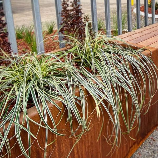Outdoor Street 0.8mm Corten Steel Square Planter Box For Public Park Weather Proof