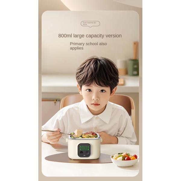 Electric Lunch Box Baby'S Constant Temperature Bowl Cordless Heating Feature For Supplementary Food Dinner