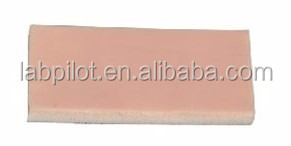 Professional Clinical Training Kit for Medical Science Multi-functional Minor Surgery