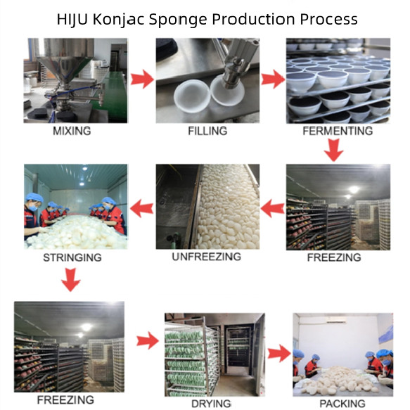 Губка органической волны Eco дружелюбной Konjac очищая для ухода за лицом