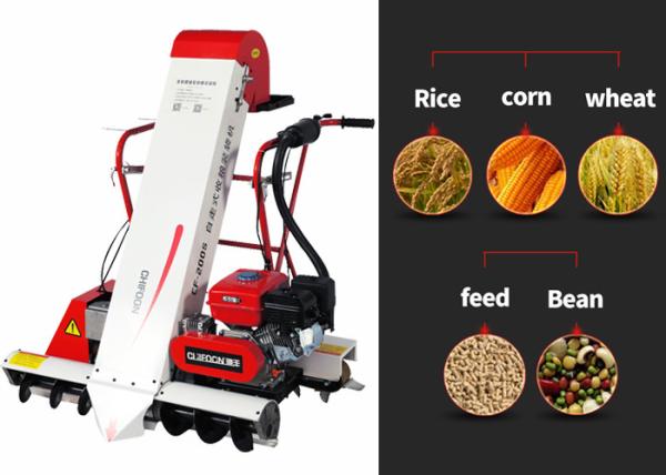 CHIFOON 20Inch Container Grain Collecting And Bagging Machine double belt