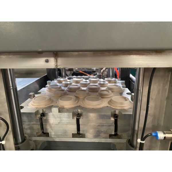 Automatic Sugarcane Bagasse Pulp Molding Making Machine For Paper Cup Lid Production Line