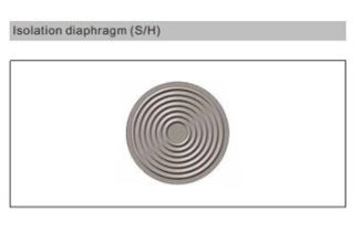 Stainless Steel Welding Seal FKM Digital Pressure Switch