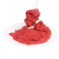 Ketchup ácida e doce do saquinho da pasta de tomate na garrafa 210g