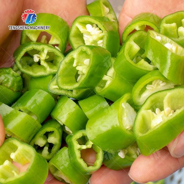 Chili Potato Carrot Taro Sweet potato Yam watermelon Hami Melon cucumber towel gourd balsam pear winter melon Desktop Vegetable Cutter Cutting processing production Supplying Machine