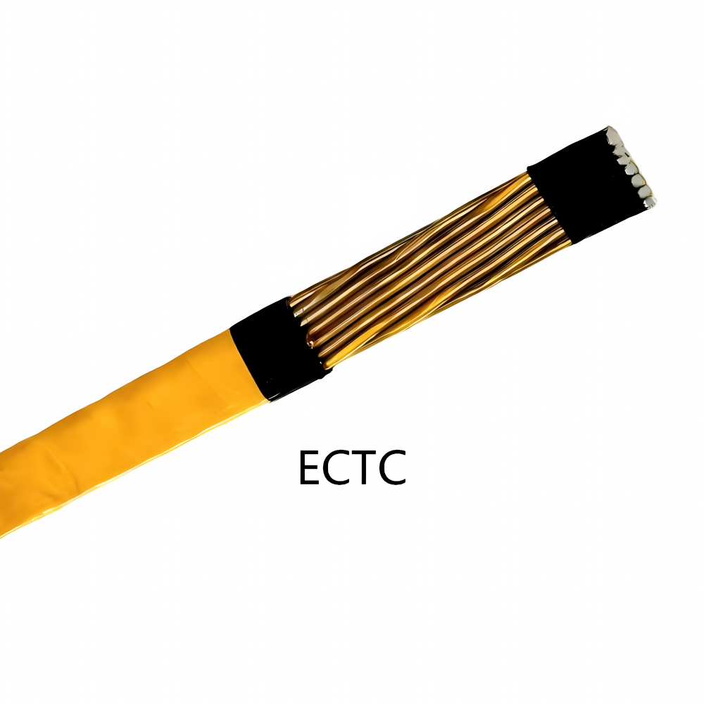 Continuously Transposed Conductor