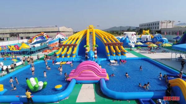 Water Slide Commercial Customized Large Hippo Inflatable Water Slide With Pool