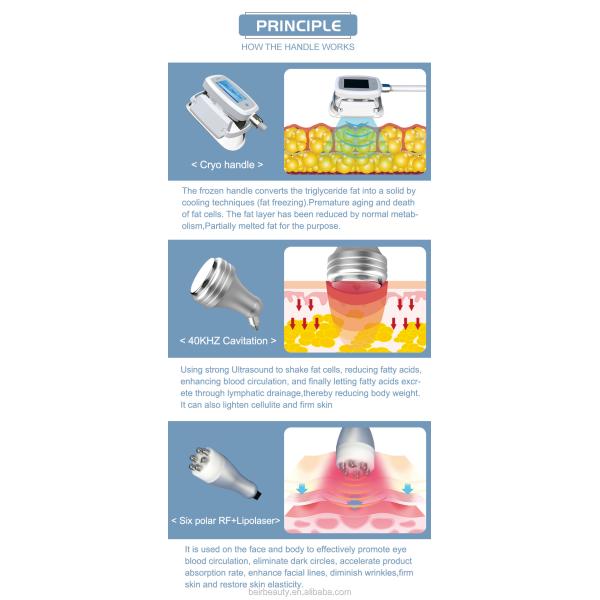 Multifunctional Vacuum Cavitation System With 4 Cryo Handles RF Fat Burning Machine