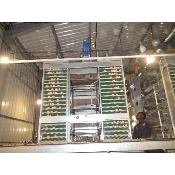 Автоматическое СМ системы 65 x 62,5 клетки цыпленка слоя яйца птицефермы 44 x