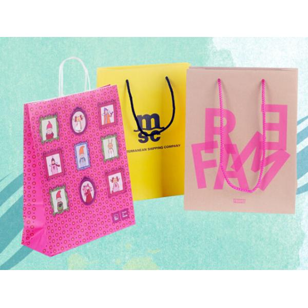China Manufactures Wholesale Luxury boutique Clothing paper carrier bags with logo,High-End Luxury Unprinted Cardboard S