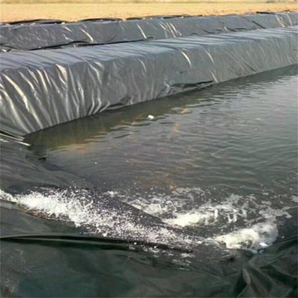 Smooth Surface HDPE/LDPE Geomembrane for Fish Pond Liner Design Style Contemporary