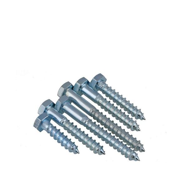 Hex Head Wood Screw Din571 Lag Bolt Coach Screw for Steel/SUS304 within Fasteners