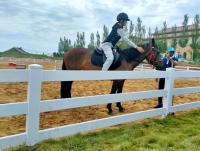 Fermeture à cheval en PVC à 3 rails pour fermes et ranchs