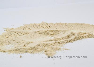 Indústria Alimentar Proteína de farinha de trigo, sem cheiro Glutina de trigo seco
