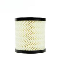 Oil Filter 6C1Q6744AA 6C1Q6744BA 6G9Q-6744-AA 3M5Q6744AA 2385702  1727561 1427824 1303476 For Ford