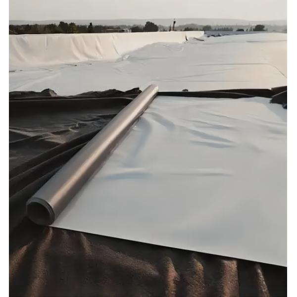 0.3mm-0.8mm Толщина HDPE Геомембрана Рыбный пруд линейка для лотосных прудов лотоса корневых прудов