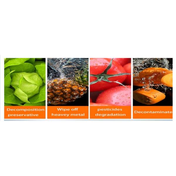 60Hz Vegetable Fruit Washing Machine