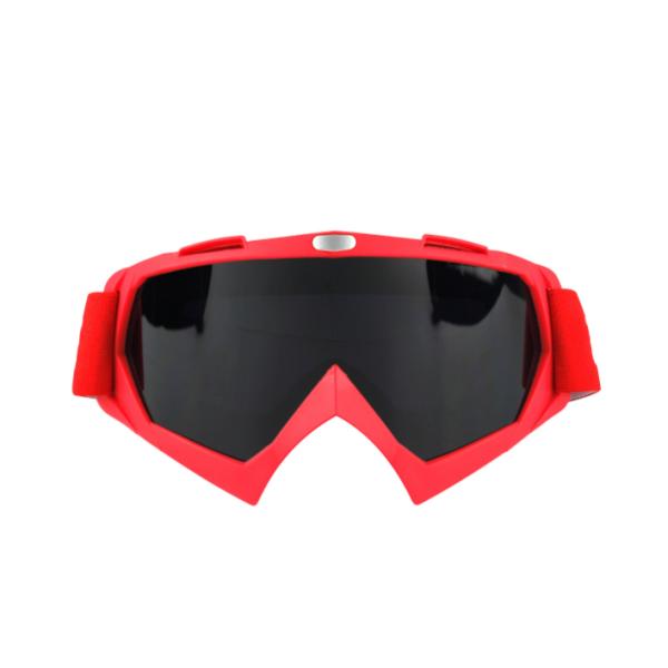 Eyewear сноуборда анти- изумленных взглядов лыжи снега дисплея тумана стеклянный