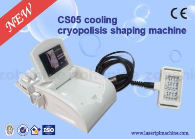 Máquina refrigerando multifuncional do emagrecimento do corpo de Cryolipolysis para o salão de beleza