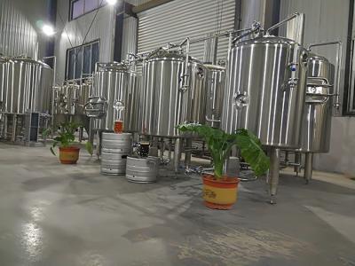 Sus 304 Commercial Beer Brewing Systems , 200l Small Home Brewing Equipment