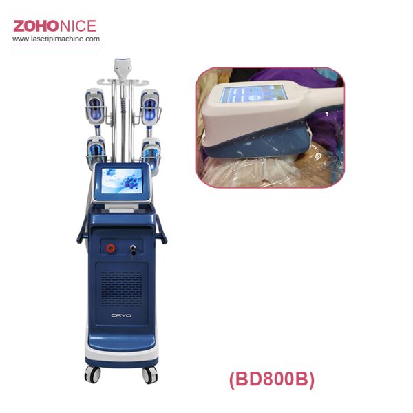 5 Size Handle Portable Cryolipolysis Machine For Salon Use