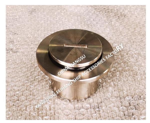 Stainless Steel Threaded Sounding Pipe Head Meets Standard GB/T3778-99