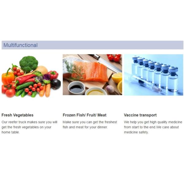 HOWO ThermoKing Refrigerator Refrigerated Van Freezer Reefer Box Transport Food Cooling Truck