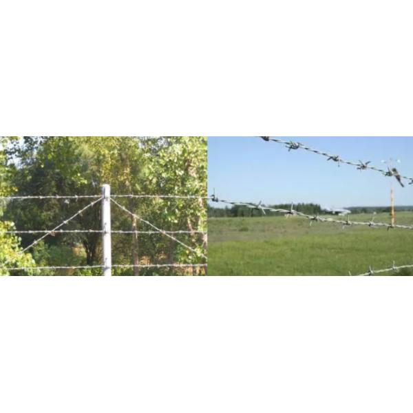 Одиночный извив 2.2mm гальванизировал стальной датчик колючей проволоки Q235 12*12
