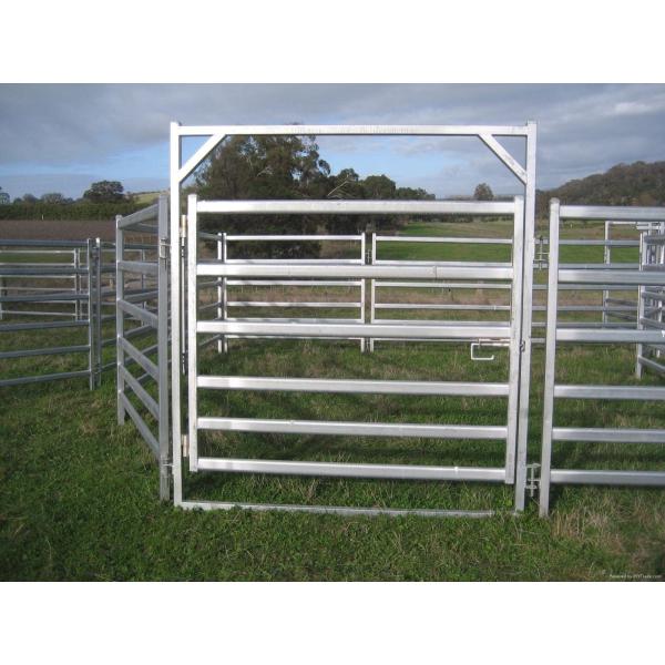 30-40 Head 50x50 High Visibility Livestock Cattle Yard Panels