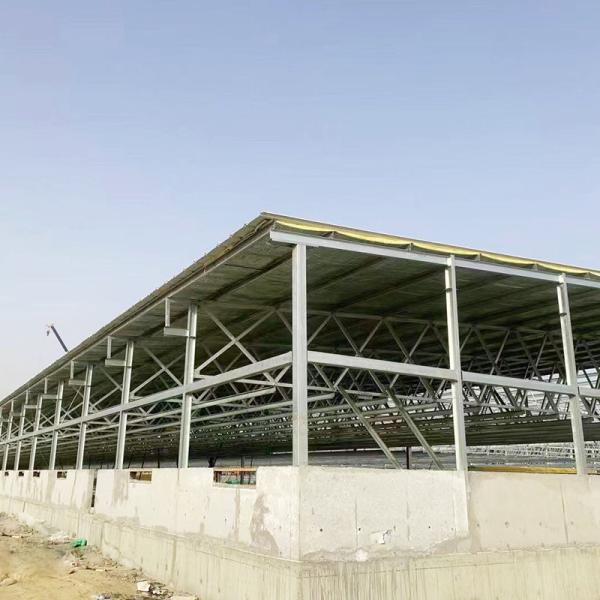 low cost Prefabricated Steel Structure Cow Shed Farm goat house steel structure warehouse