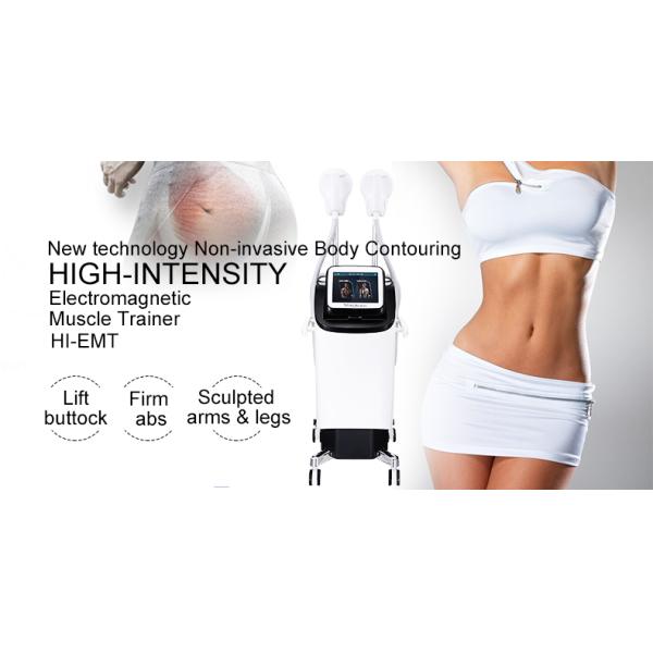 Тело 2.3KVA уменьшая стимулятор мышцы 220v 300µS EMS