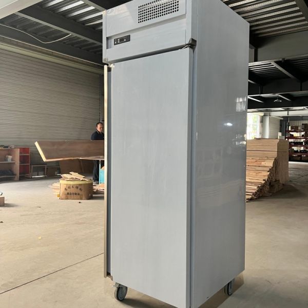 Stainless Steel Baking Tray Freezer 1 Door Upright Air-Cooled Refrigerator with Trays
