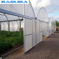 Agriculture Planting Plastic Sheeting Large Scale Steel Frame Greenhouse Multi Span Greenhouse