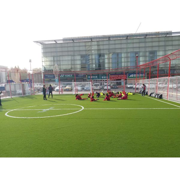 30mm Pile Height Infill-Free Artificial Turf for Football Fields with Great Water Permeability