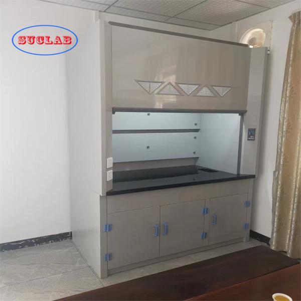 Wall Mounted Perchloric Acid Fume Hoods  Low Noise Level Durable