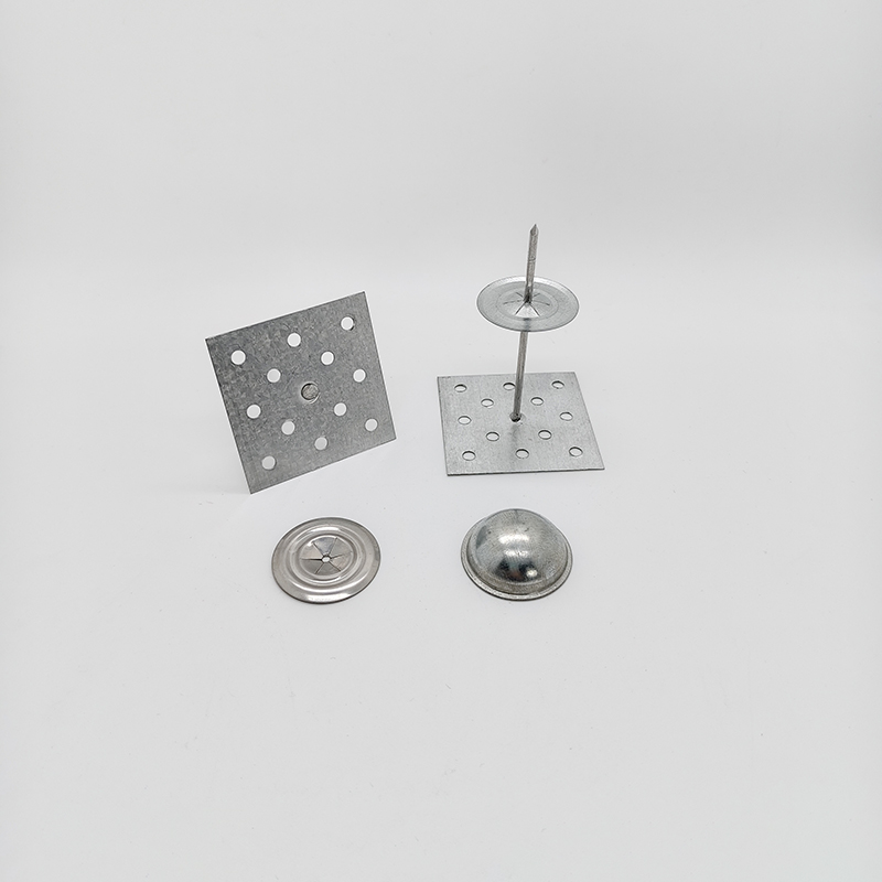 Industrial Grade Galvanized Perforated Base Insulation Hangers with 50mm Head Diameter for External Wall Fastening