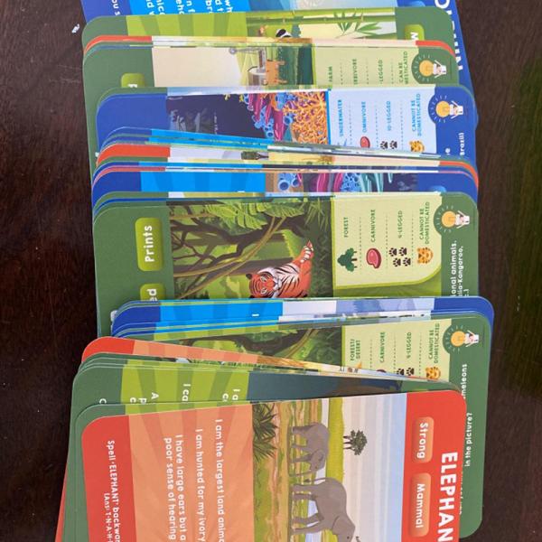 Super Fun for Travel & Family Game Night Custom design Wholesale OEM VN Supplier Playing cards